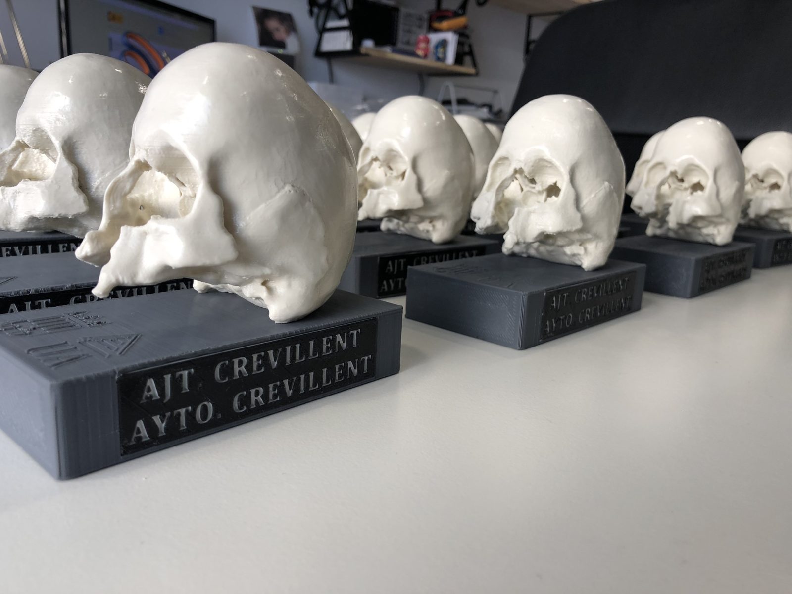 Cráneos arqueológicos